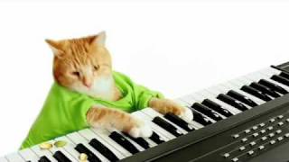 Keyboard Cats Wonderful Pistachios Commercial [upl. by Yelsel57]