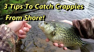 3 Crappie Fishing Tips Guaranteed To Catch Crappies From Shore [upl. by Aikram654]