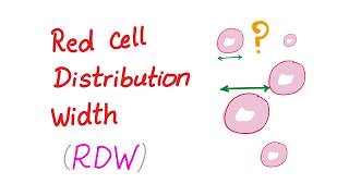 Red Cell Distribution Width RDW  What Does This Lab Test REALLY Mean [upl. by Egroj]