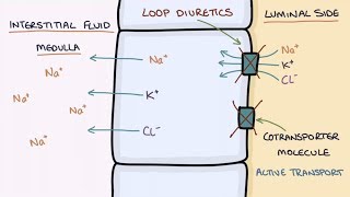 Dianabol Dbol  A Complete Guide Video [upl. by Corrina]