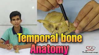 Temporal bone anatomy in bangla [upl. by Staci579]