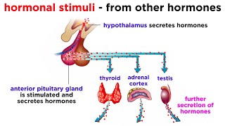 Topic 55 Ovarian Neoplasms [upl. by Nessnaj]