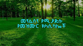 Ethiopian protestant mezmur classical  Ethiopian Instrumentals [upl. by Saxela931]