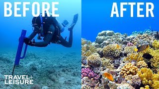 How Scientists Are Restoring The Great Barrier Reef  Travel  Leisure [upl. by Sagerman]