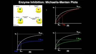 Enzyme Inhibitors  Mechanisms MichaelisMenten Plots amp Effects [upl. by Odawa832]