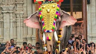 Kaanthaa Njaanum Varaam  Thrissur Pooram Song 2018 2019 [upl. by Tolley679]