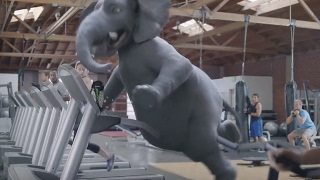 Wonderful Pistachios Super Bowl Commercial 2017 Elephant Ernie Gets Physical [upl. by Asselem]