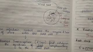 Reverse Transcription and Reverse Transcriptase [upl. by Eselahs]