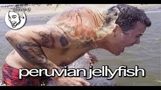 Peruvian Jellyfish Stunt  SteveO [upl. by Ahsilak]