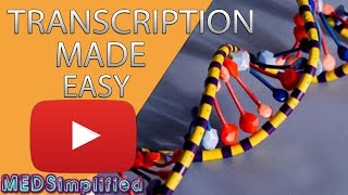 Transcription Made Easy From DNA to RNA 2019 [upl. by Flss]