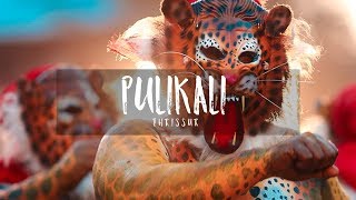 PULIKALI  Play of the Tigers Tiger Dance  Kerala Festival [upl. by Martreb481]