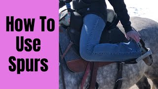 HOW TO USE SPURS WHEN RIDING HORSES [upl. by Eihctir]