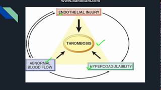 Thrombosis [upl. by Adlih595]