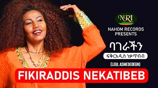 Fikiraddis Nekatibeb  Bagerachin  ፍቅርአዲስ ነቃጥበብ  ባገራችን  Ethiopian Music [upl. by Burhans]