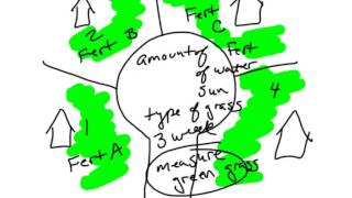 Scientific Method  Constant vs Control [upl. by Amik164]