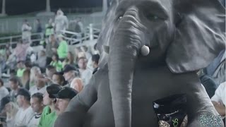 Wonderful Pistachios Commercials Compilation Elephant Ads [upl. by Nylirek]