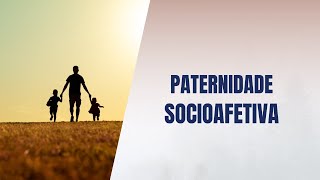 Paternidade socioafetiva [upl. by Narda630]