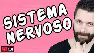 SISTEMA NERVOSO  FISIOLOGIA  Aula  Biologia com Samuel Cunha [upl. by Catton579]