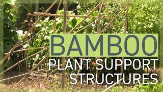 Bamboo Plant Support Structures [upl. by Natalya347]