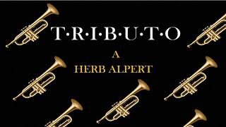 Trompeta Tributo a Herb Alpert [upl. by Roane511]