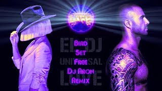 SIA  BIRD SET FREE DJ ARON REMIX [upl. by Joan882]