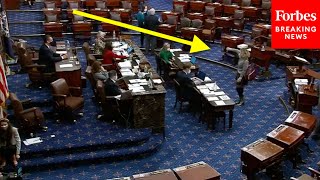 VIRAL MOMENT Kyrsten Sinema gives THUMBS DOWN to Bernie Sanders proposed raise in minimum wage [upl. by Einnos]