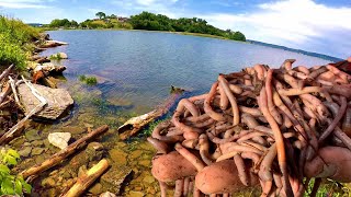 How To Catch Catfish From The Bank With Worms [upl. by Marceau]