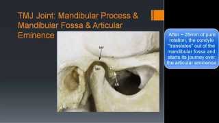 TMJ Basic Anatomy amp Biomechanics [upl. by Aivatnohs]