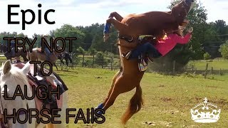 Try not to laugh  horse fails [upl. by Hanonew221]