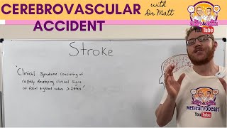 NIH Stroke Scale Training  Part 2  Basic Instruction [upl. by Garv559]