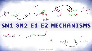 SN1 SN2 E1 E2 Reaction Mechanism Overview [upl. by Nanine]