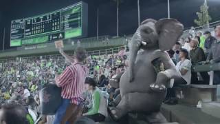 Wonderful Pistachios Elephant Commercial 2016 Ernie at the Ball Game [upl. by Godred]