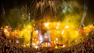 David Guetta  Titanium ft Sia Alesso Remix Live  Tomorrowland 2015 [upl. by Anyahs809]