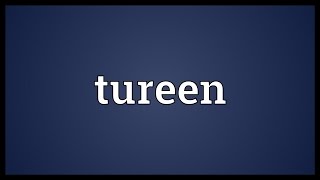 Tureen Meaning [upl. by Nhtanhoj]