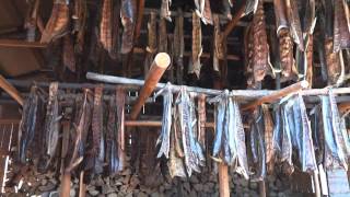 Traditional Smoked Salmon method in Alaska [upl. by Marucci]