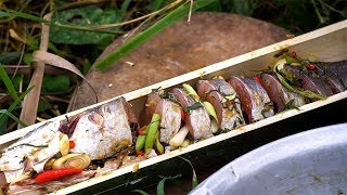 Kitchen Foods Roasted Channa striata Fish using Bamboo  How to Cooking Style in Village [upl. by Lletnahs]