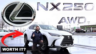 2023 Lexus NX 250 Just A Fancy RAV4 [upl. by Vudimir]