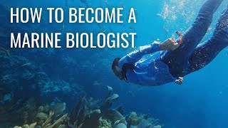 How to Become a Marine Biologist step by step  Marine Biology Careers amp Marine Research [upl. by Eikciv]