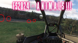 Finding ANIMALS in MSFS2024 [upl. by Lehcnom]