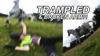 GOPRO HORSE FALL [upl. by Drusie]