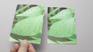 Selecting The Right Photo Paper [upl. by Moth120]