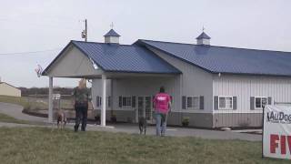 Morton Buildings Tour  All Dogs Canine Care Kennel [upl. by Weinstock265]