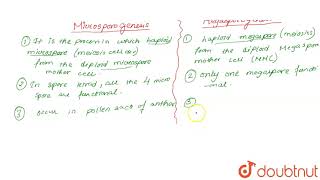 Differentiate between microsporogenesis and megasporogenesis Which type of [upl. by As]