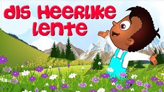 Dis Heerlike Lente  Afrikaans Kinderliedjies  Kleuterskool liedjies  Spring Afrikaans Kids Song [upl. by Notnert]