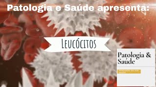 Histologia  Sangue O que são leucócitos [upl. by Selry115]