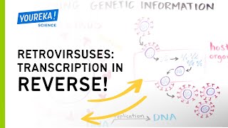 Retroviruses Transcription in Reverse [upl. by Jerroll]