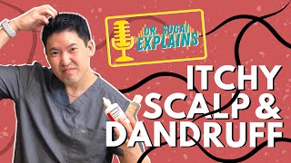 Dr Sugai Explains Itchy Scalp and Dandruff What Shampoos to Consider [upl. by Oyam701]