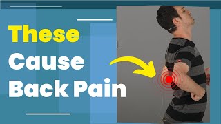 5 Common Causes of Back Pain [upl. by Gregor]