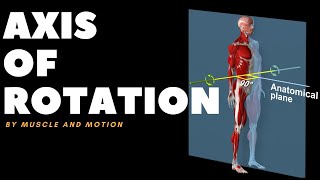 Understanding Axes of MovementRotation [upl. by Ahcorb]