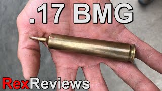 17 BMG  Hypersonic on a Budget  Rex Reviews [upl. by Ful]